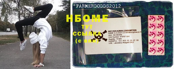 СК Алексин