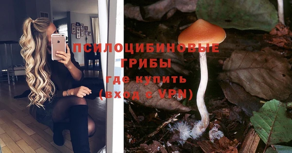 мяу мяу кристалл Алексеевка