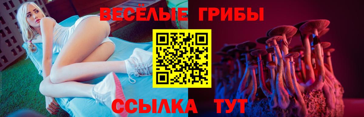 Галлюциногенные грибы ЛСД  Вход с VPN  даркнет сайт  Галлюциногенные грибы ЛСД  Родники 
