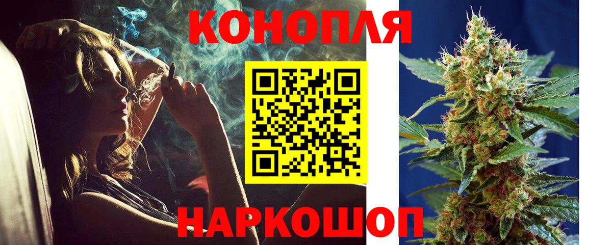 Каннабис сатива Родники